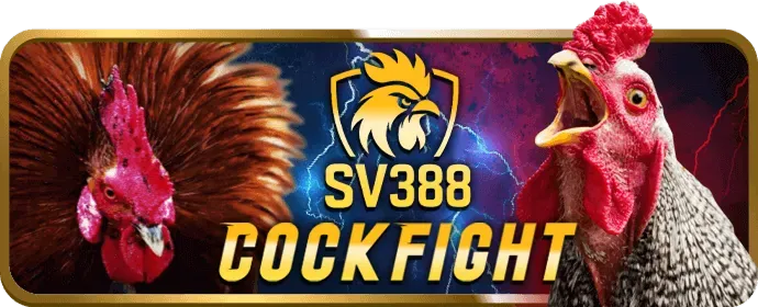 Hoàn trả không giới hạn tại 08win login